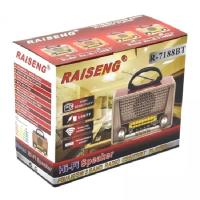 RAISENG R-7188BT NOSTALJİK RADYO